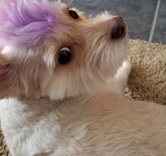 Did You Just Hit Like On An Item? - Picture 1 of 4